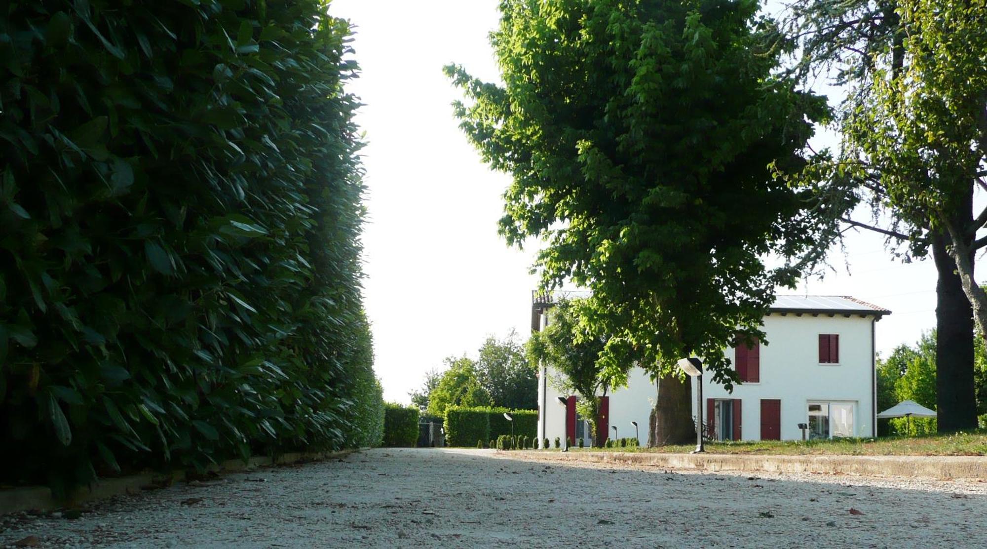 Agriturismo Campoverde Camponogara Ngoại thất bức ảnh